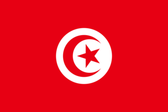 突尼斯旅游签证